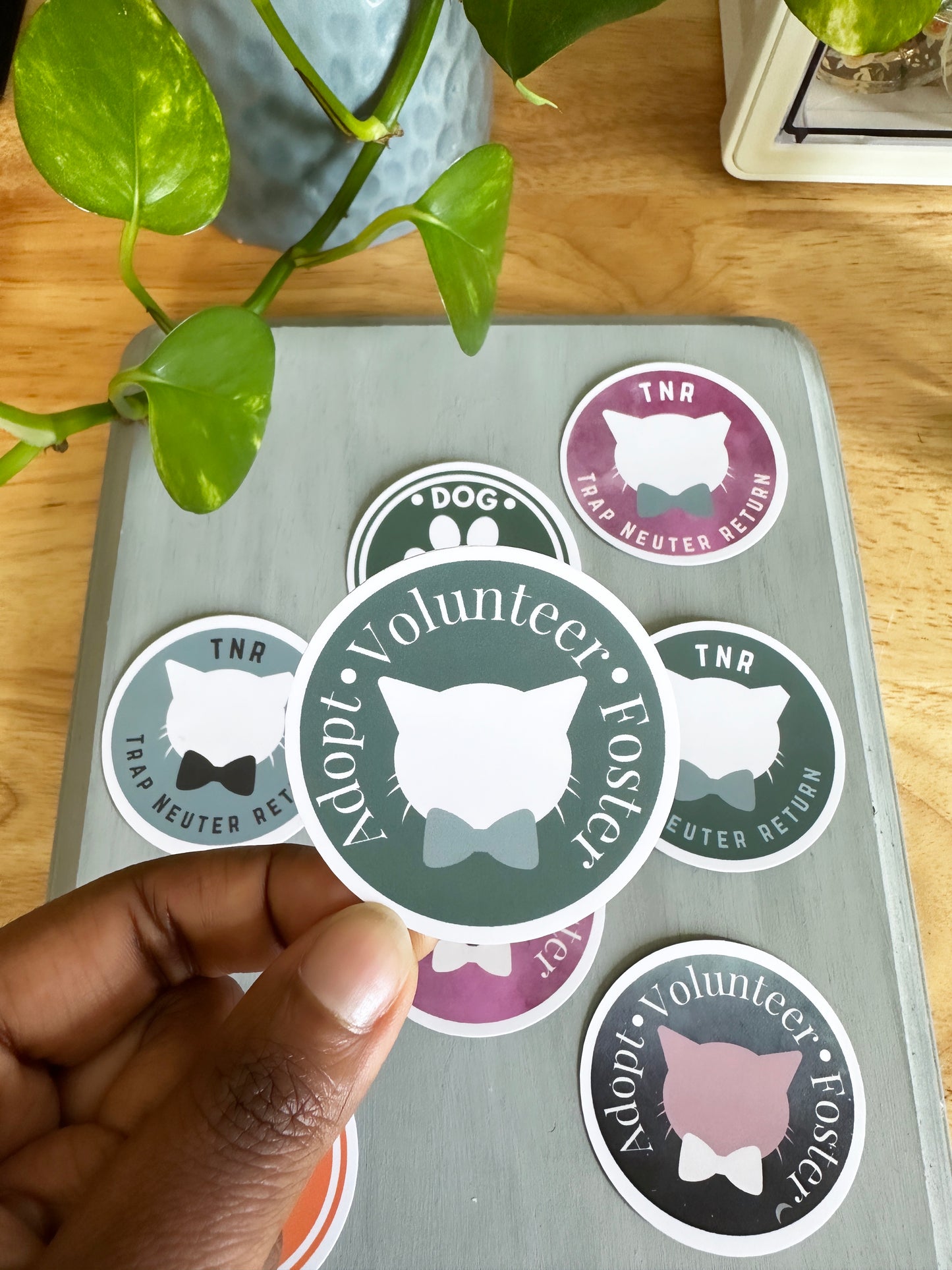 Matte Adopt Volunteer Foster Sticker