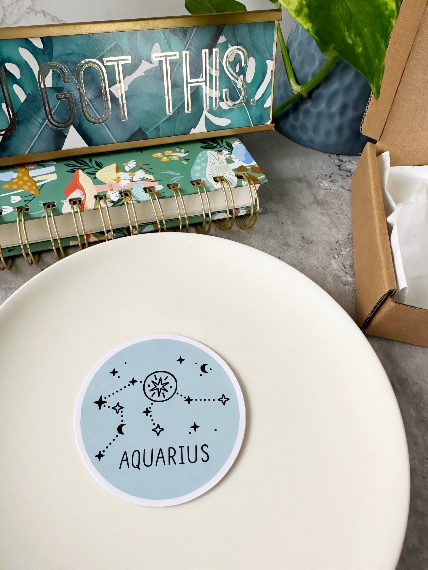 Aquarius Horoscope Sticker