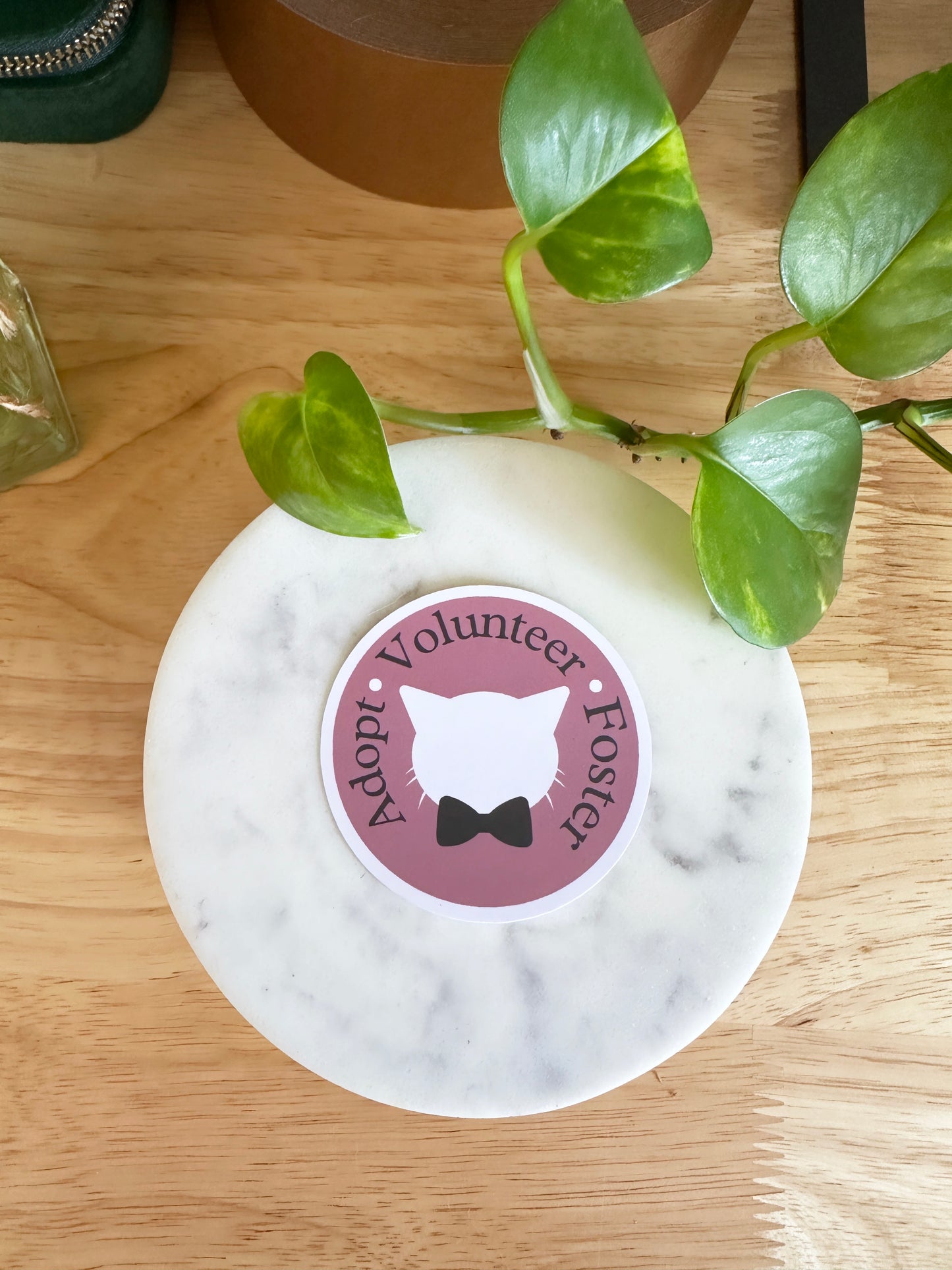 Matte Adopt Volunteer Foster Sticker