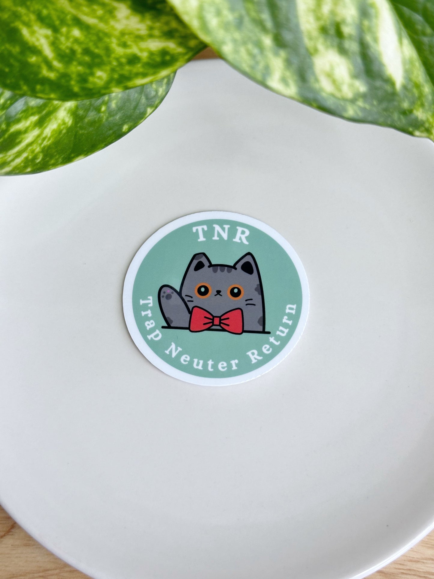 Glossy TNR Sticker