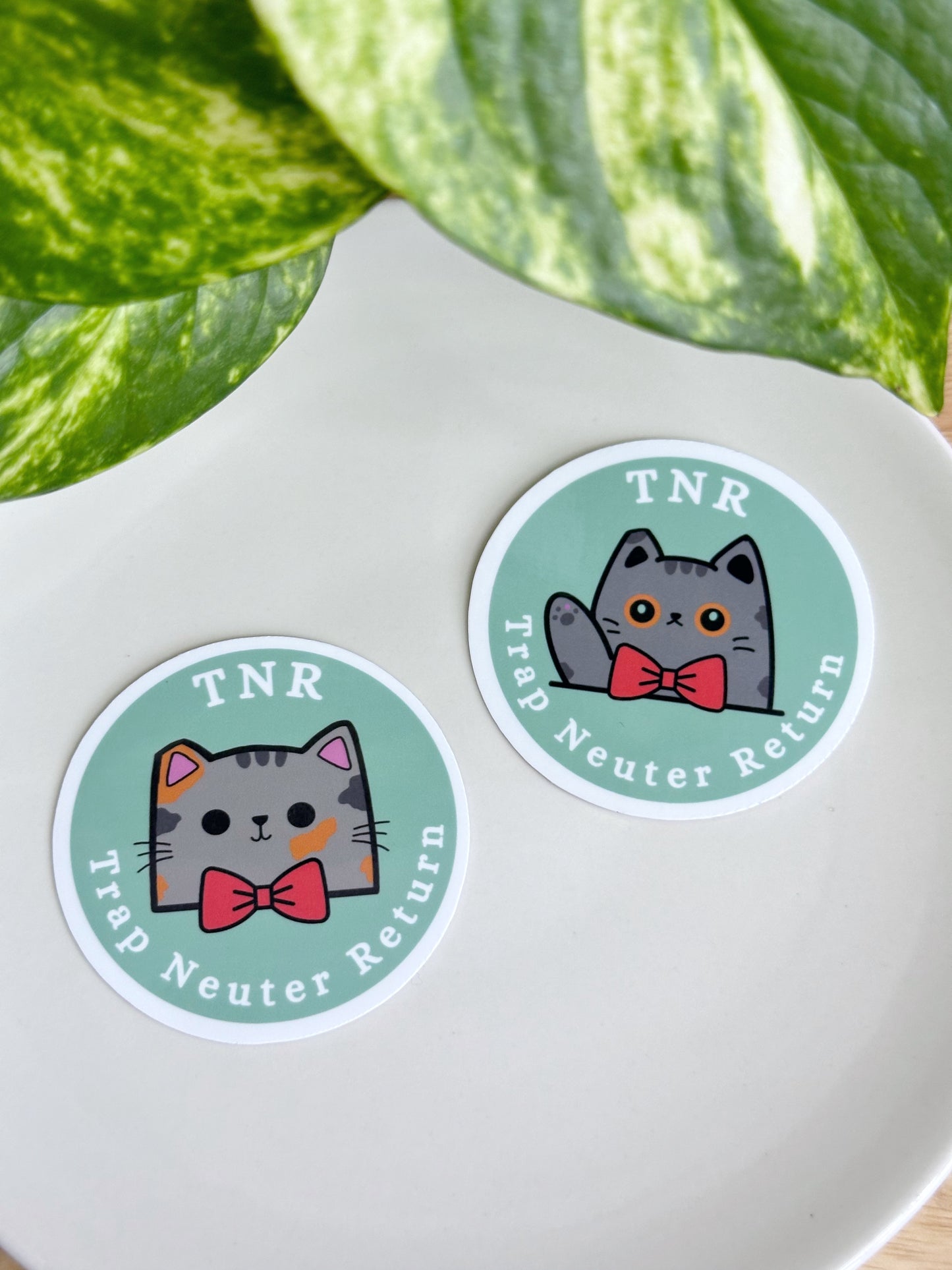 Glossy TNR Sticker