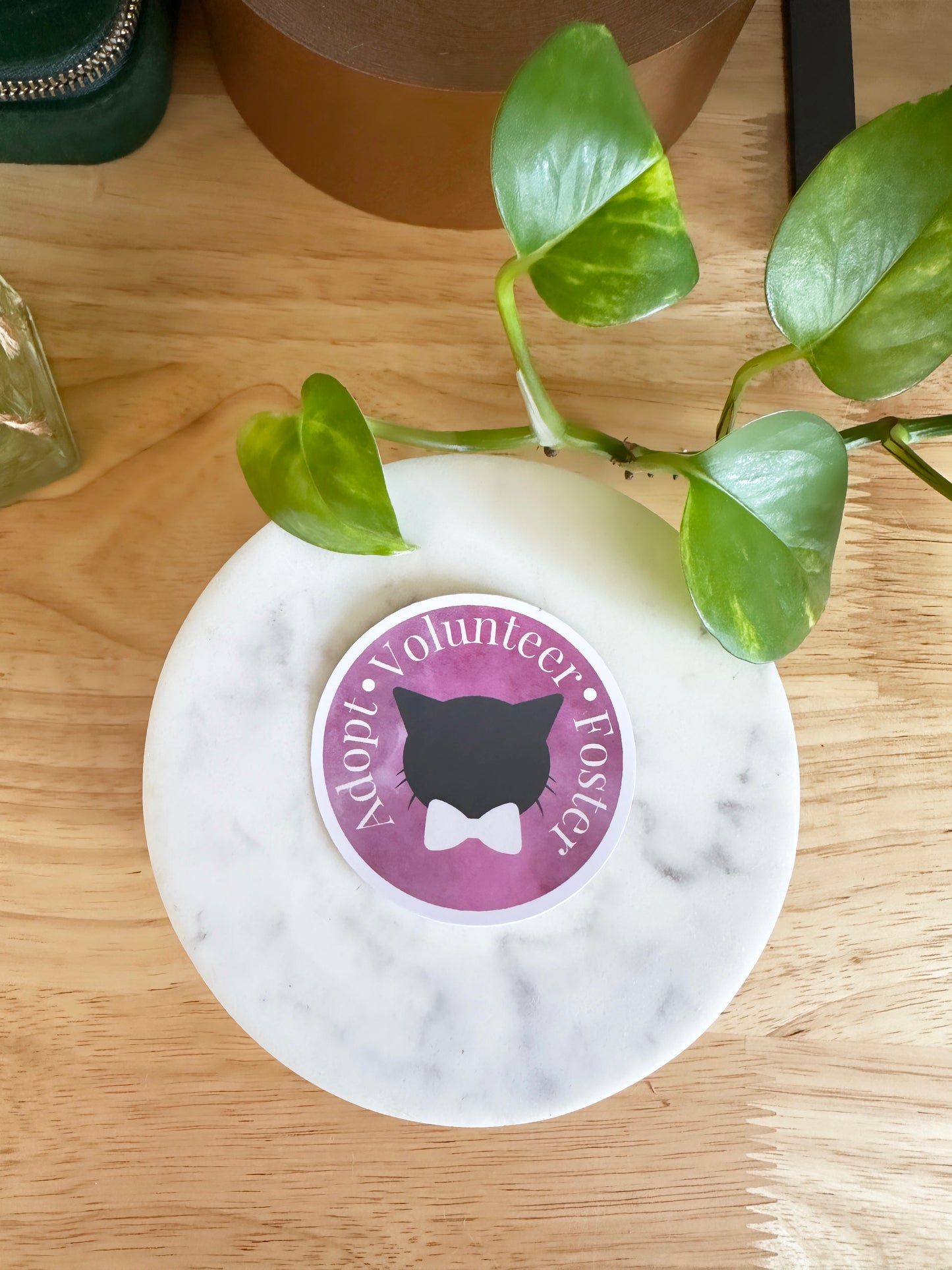 Matte Adopt Volunteer Foster Sticker