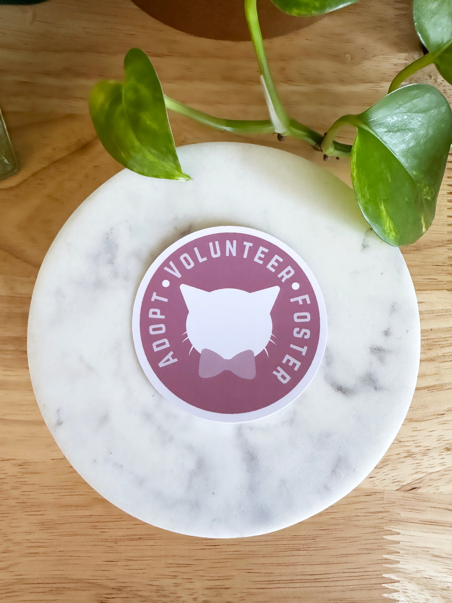 Matte Adopt Volunteer Foster Sticker