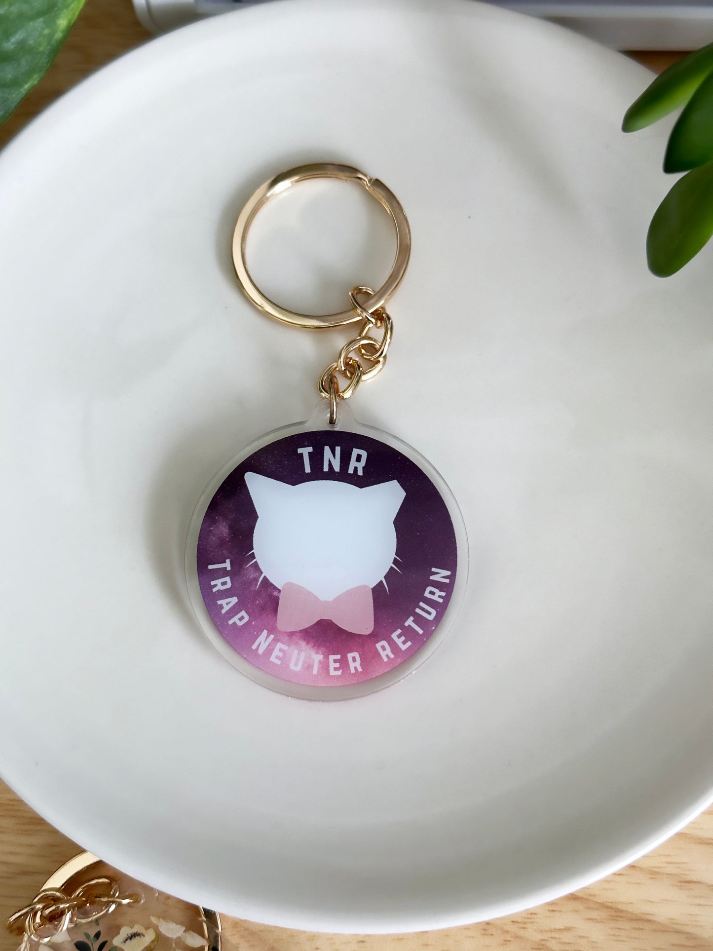 TNR Keychain