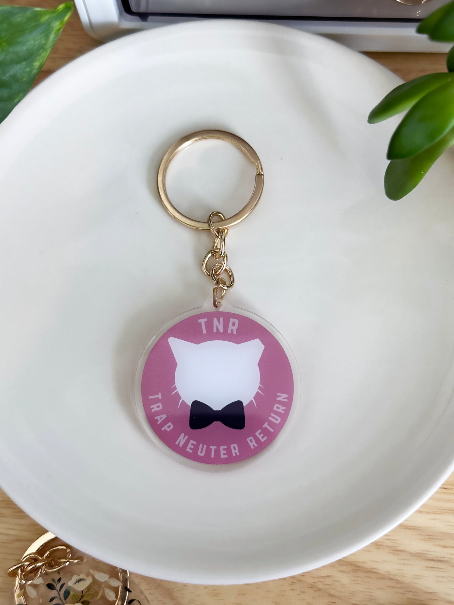 Trap Neuter Return Keychain with gold keyring